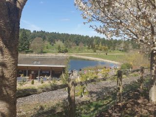 베지베리 국립 소나무 숲 및 삼림