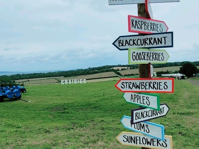 South Queensferry|橋影、海風、細街的安靜節奏Edinburgh|South Queensferry|Forth Bridge|Harbour Walk