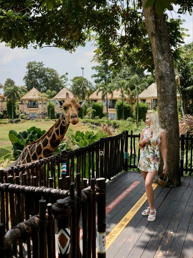 タイムラインに少しだけ大自然の息吹をお届け！🦒✨ みんな、ついに