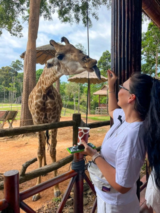 A morning with giraffes at Vinpearl Safari Phu Quoc