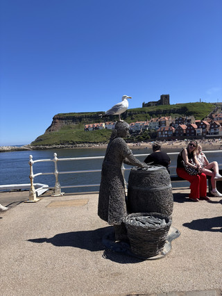 🐟 [Personal Recommendation] York to Whitby: Best views, Friendly Birds & Coastal Walks!