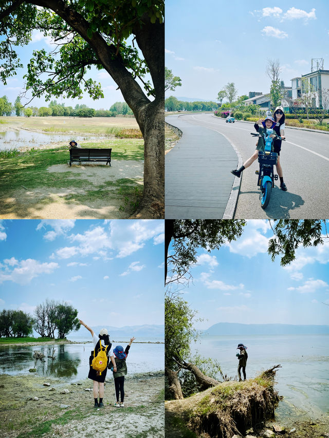 Dali parent-child tour around Erhai Lake, a niche self-driving guider