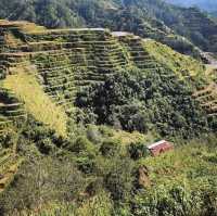 World Famous Rice Terraces!🇵🇭