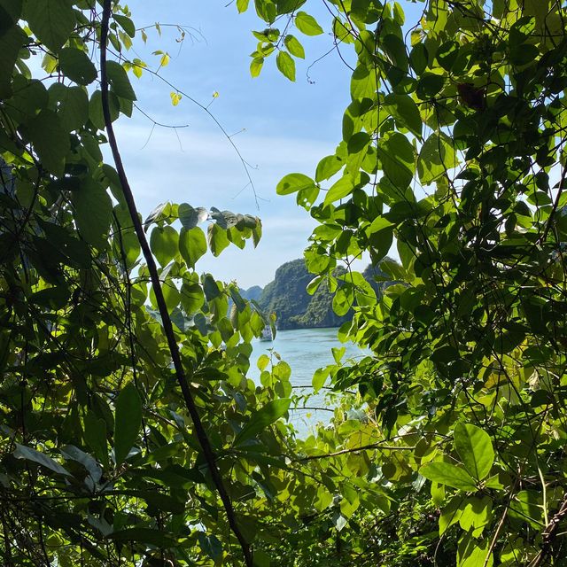 Halong Bay Vietnam 🇻🇳 