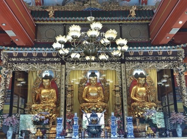 Simply Amazing Place to Visit 🇭🇰