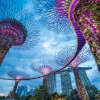 探尋獅城新加坡，就從這五個開始！🇸🇬