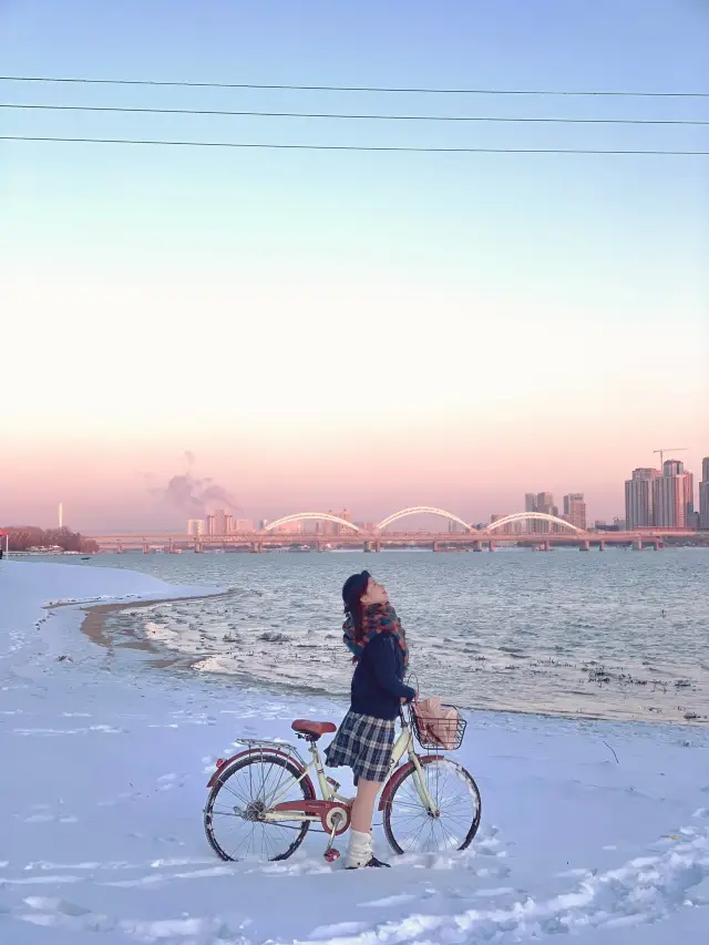 Finally, I captured the 'sea' in Harbin's winter