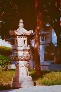西安｜香積寺｜千年古刹名寺