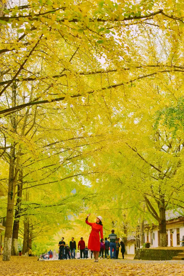 11月下旬自駕到南雄帽子峰森林公園景區