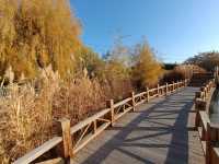 遇見多彩的秋天，張掖國家濕地公園