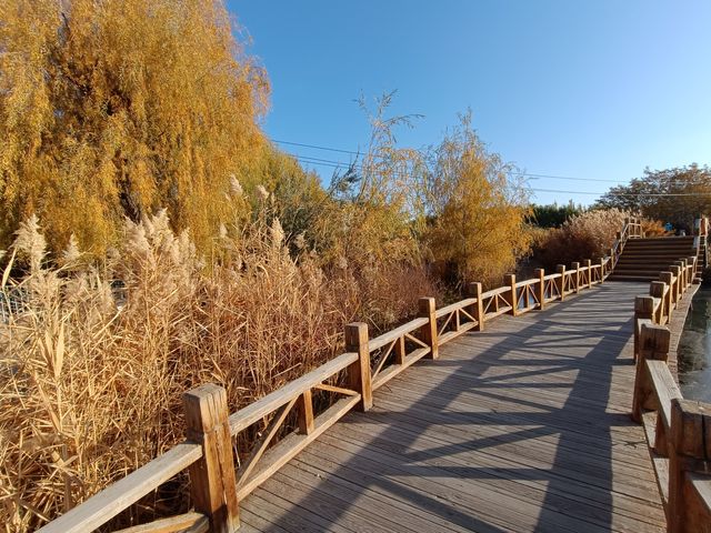 遇見多彩的秋天，張掖國家濕地公園
