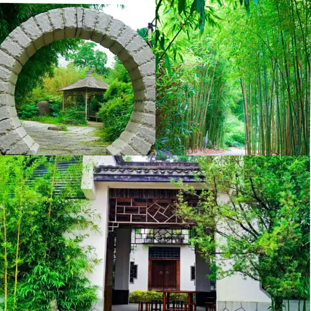 Bamboo Expo Park, a great place for family fun, come and experience it