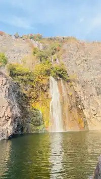 這不是瑞士!這是在上海!