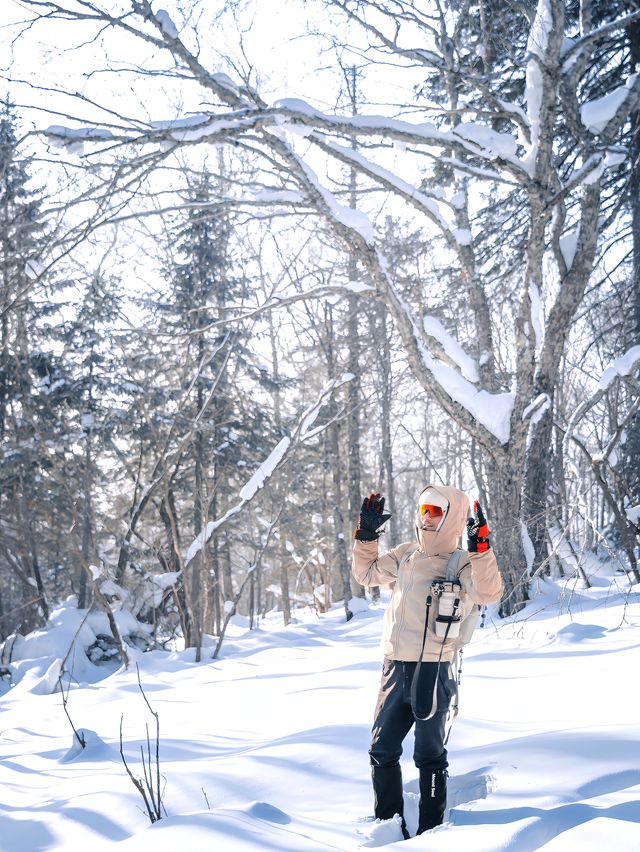 徒步穿越15公里的森林雪原才是雪鄉正確的開啟方式