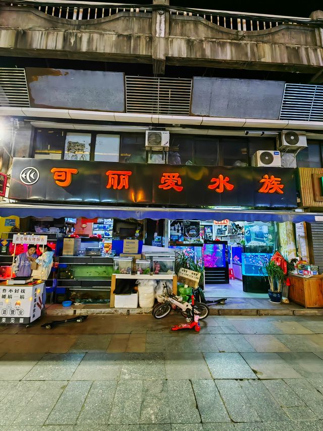 鴛江麗港夜景