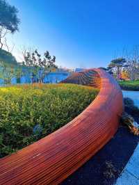 觀花賞景，品味根親文化：合肥園博園鄭州園
