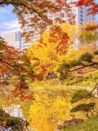 日本—日比谷公園一紅葉與銀杏