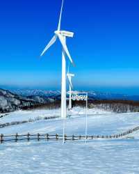 겨울 여행지 남바완❄☃ (+사진찍는 법)