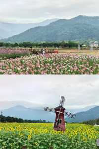 【南昌美景】梅嶺山下的安義古村