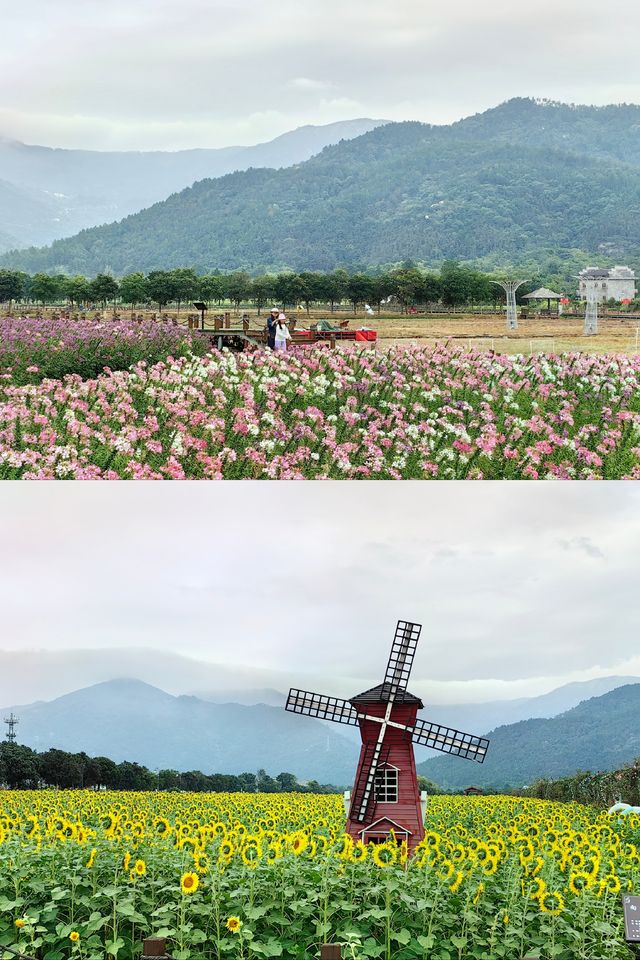 【南昌美景】梅嶺山下的安義古村