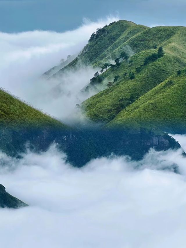 武功山很好，下次不會再來了