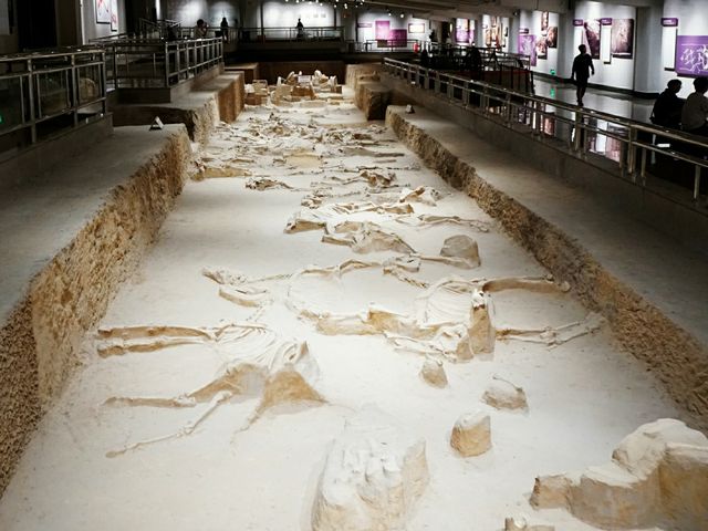 河南｜中國20世紀百項考古大發現之一