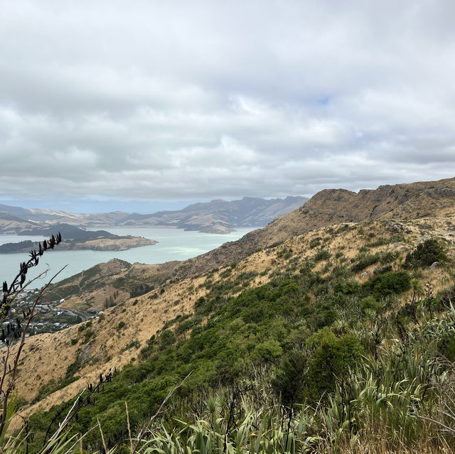 Explore City and Nature in Christchurch!