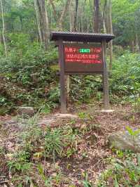 姑婆山位於廣西東北部；湘、桂、粵三省交界處的萌諸嶺南端廣西賀州市境內，距市區（八步）中心僅26公里，地處香港--廣州--桂林黃金旅遊線中間站上，總面積8000公頃，具有峰高谷深、山勢雄偉、森林繁茂、動植物資源豐富、瀑飛溪潺、環境幽雅等特點，集“雄、奇、秀、幽”於一體，兼有山水型、城郊型公園之特點