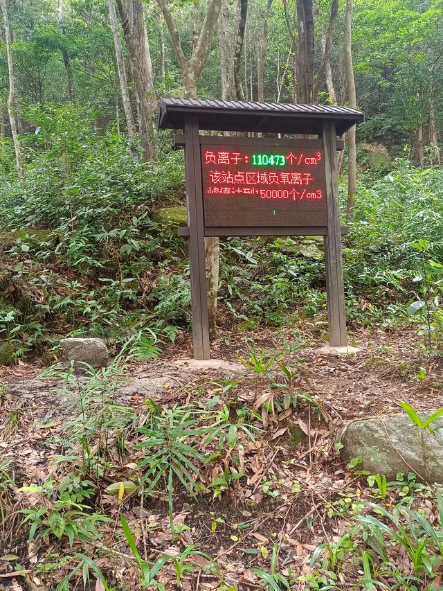 姑婆山位於廣西東北部；湘、桂、粵三省交界處的萌諸嶺南端廣西賀州市境內，距市區（八步）中心僅26公里，地處香港--廣州--桂林黃金旅遊線中間站上，總面積8000公頃，具有峰高谷深、山勢雄偉、森林繁茂、動植物資源豐富、瀑飛溪潺、環境幽雅等特點，集“雄、奇、秀、幽”於一體，兼有山水型、城郊型公園之特點