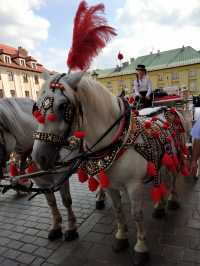 波蘭故都，馬車巡遊，回到中世紀之城克拉科夫