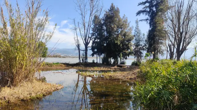 Xichang, a city where spring dwells