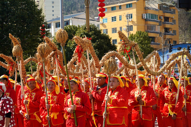 百龍鬧春，熱鬧非凡！貴州黃平縣數白條龍燈舉行巡演