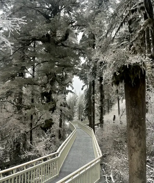 The rime scenery at Hailuogou is so beautiful that it would be a pity not to visit