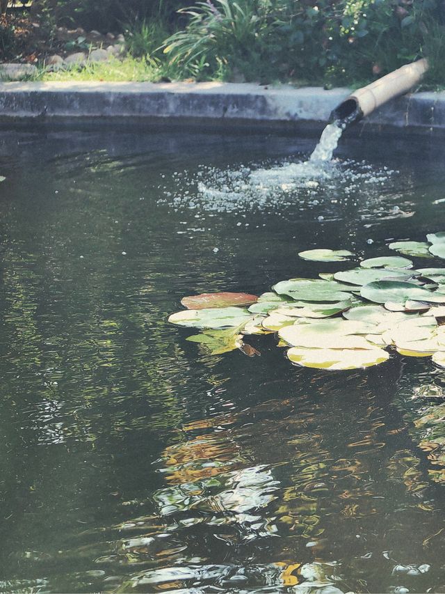 魔都週末去哪兒｜崇明，也山花園