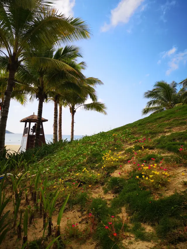 The stunning beach of Shimei Bay in Wanning