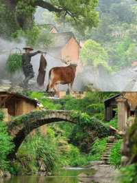 秘境之旅：探江南仙境，麗水雲和