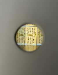 上海免費展|春天的西岸·驚喜連連