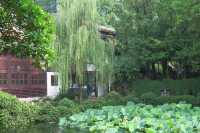 古典江南園林二百多年歷史完全免費就在魔都你去過了嗎？