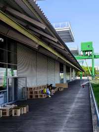 西岸起點上的美術館