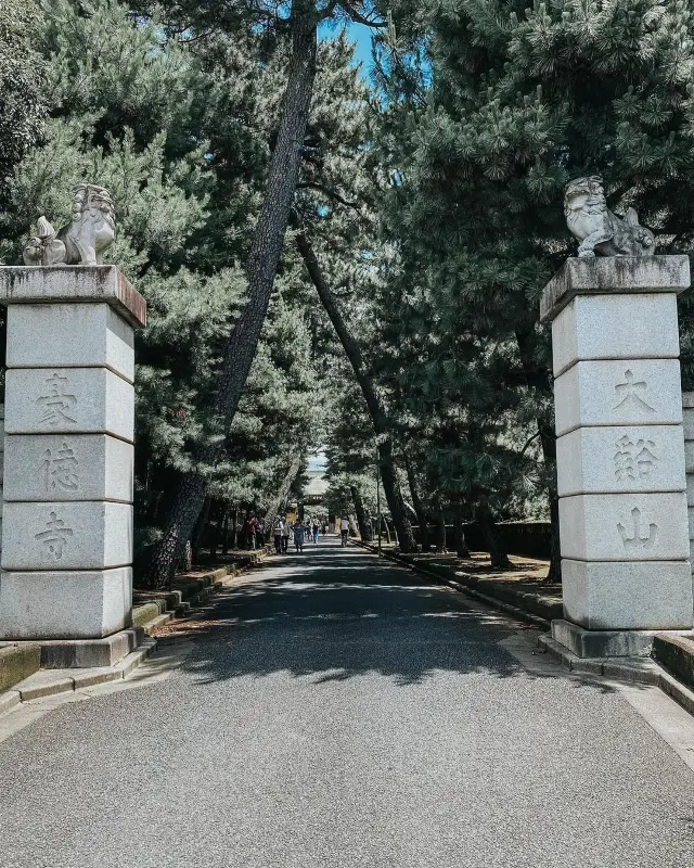 東京豪德寺丨観光スポットガイド