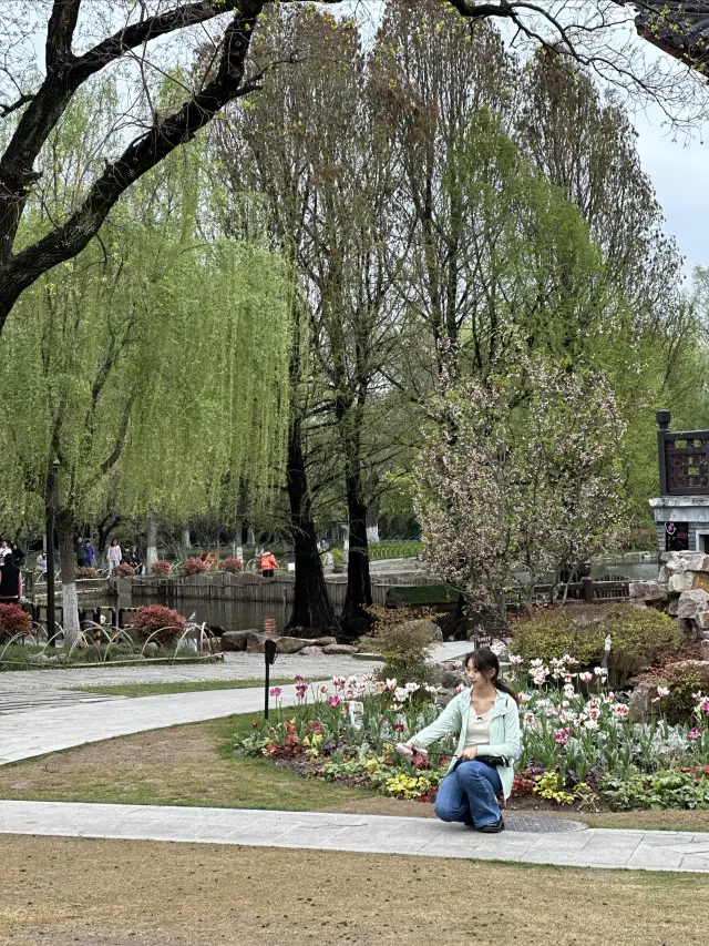 No Worries Here - The Begonia Beauty at Nanjing Mochou Lake