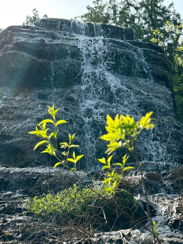 馬陵山打卡