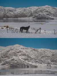 原本是自駕新疆賞秋，卻在可可托海邂逅一場雪