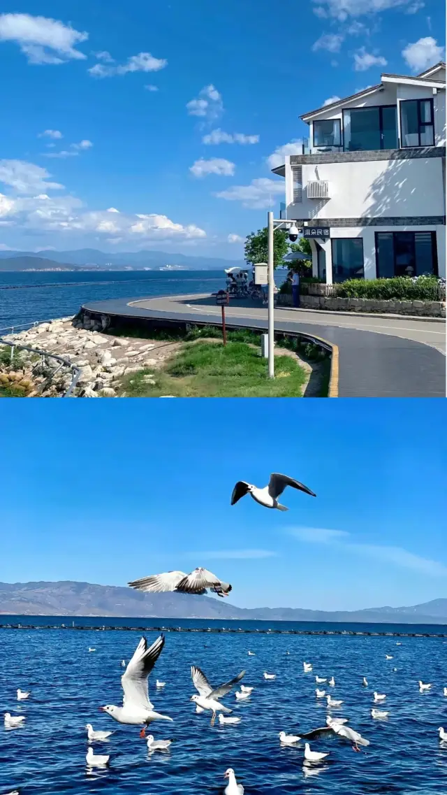 After 33 visits to Dali, here's the ultimate Dali Erhai Lake travel guide