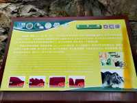 庐山西麓