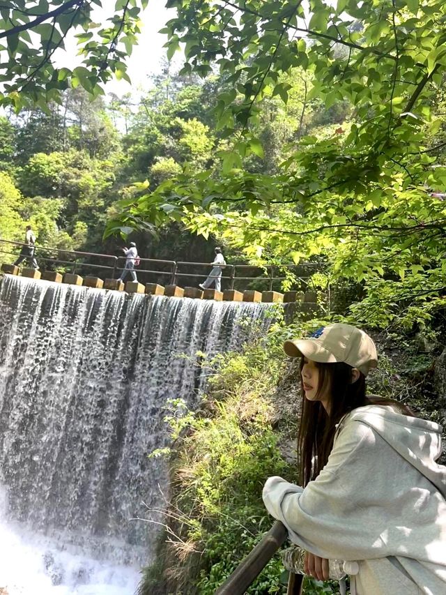 桐廬大奇山一日遊