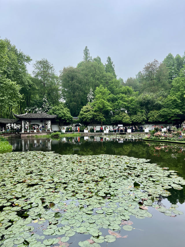 杭州郭莊｜月季展冠絕杭城！