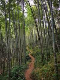 仙居公盂景區：華東最後的香格里拉