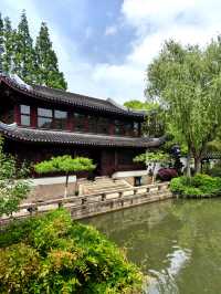 淺緣紫藤花——遊古藤園