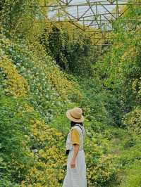 西安周邊！這裡仿若愛麗絲的秘境花園